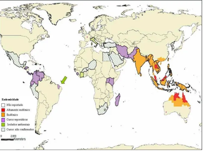 Figura  1.  Mapa  mundi  mostrando  a  distribuição  mundial  da  melioidose.  Fonte: 