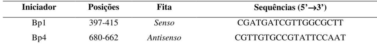 Tabela 2. Sequências de iniciadores que amplificam fragmento de 302 pb da região 16S- 16S-23S DNAr específico para a identificação de B