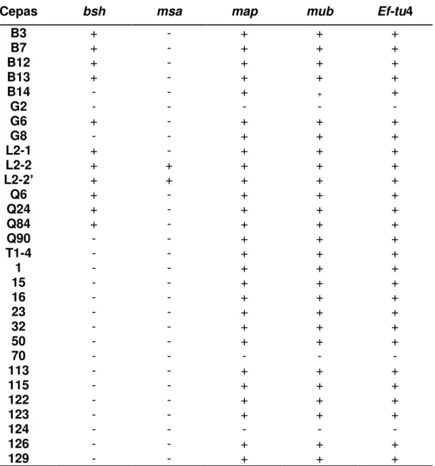 Tabela 7 Presença dos genes associados a características probióticas nas cepas de L. 