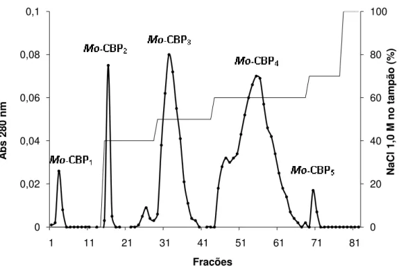 Figura 07. Perfil cromatográfico obtido após aplicação de P NAG  em matriz  de  Resource  S  acoplada  ao  sistema  de  FPLC