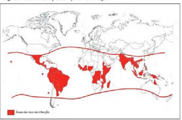 Figura 1 - Áreas de risco pela infecção do vírus dengue.  