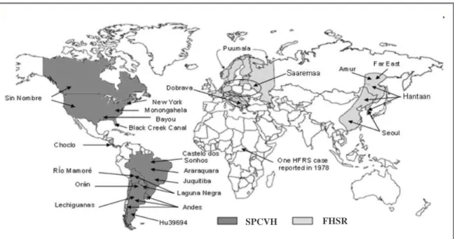 Figura 13 - Distribuição global de hantavírus: FHSR e SPCVH.  