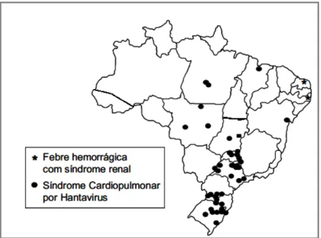 Figura 14 - Distribuição geográfica dos casos de hantaviroses ocorridos no Brasil, entre 1993 e 2001
