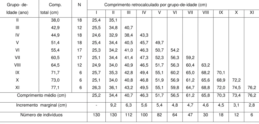 Tabela I – Valores retrocalculados do comprimento total do robalo-flecha, Centropomus undecimalis, por  grupo-de-idade, no Sudeste do Brasil