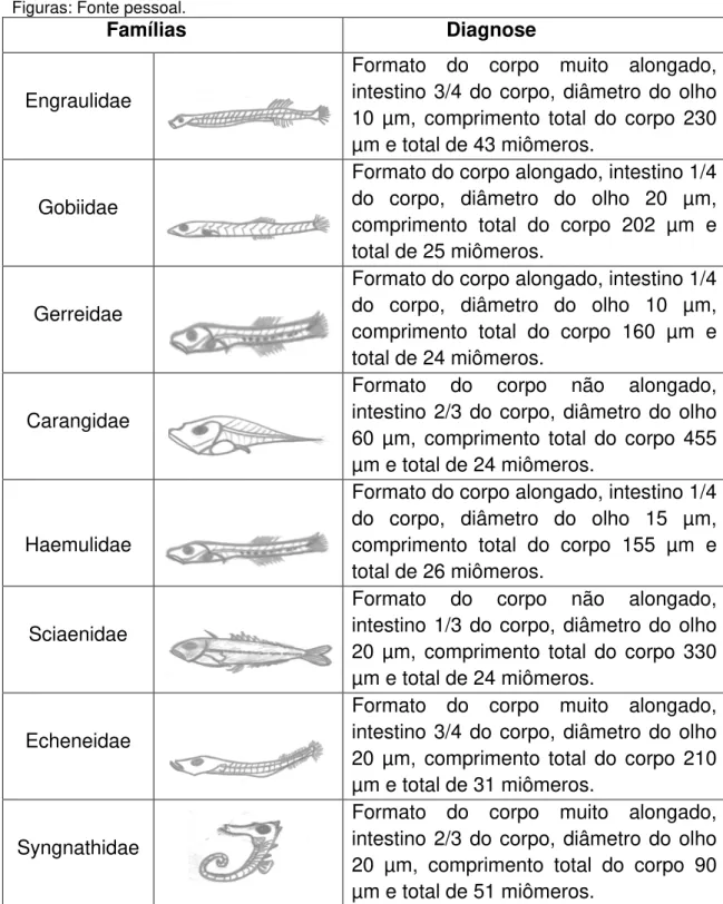 Tabela  5: Família das larvas coletadas no estuário do rio Piranji (Ceará-Brasil)  em 2015