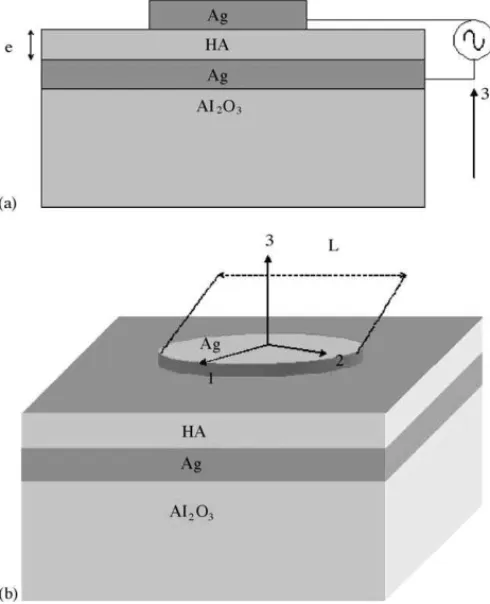 Fig. 1. A rectangular coordinate assigned to the sample for the measurement of piezoelectric and dielectric constant in the thick film structure.