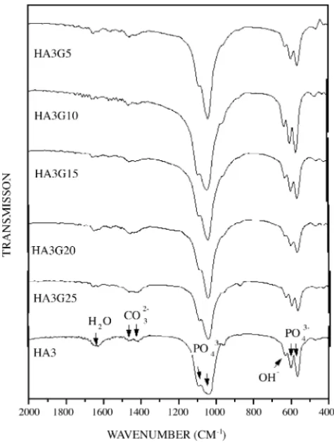 Fig. 10. Infrared spectra of ceramic HA3 (milled for 60 h) and films HA3G5, HA3G10, HA3G15, HA3G20, HA3G25.