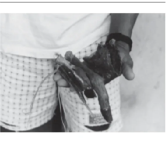 Figura 2. Farmácia caseira: frações animais usadas com finalidades terapêuticas encontradas em uma residência do povoado do Remanso.