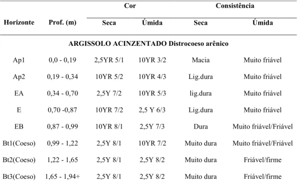 Tabela 1- Características morfológicas do perfil analisado por Lima et al. (2005) 