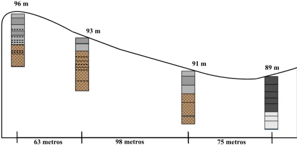 Figura 3-  Representação esquemática da localização dos perfis com representação da  ocorrência de lamelas (linhas pontilhadas) e horizontes Bt (horizontes marrons) 