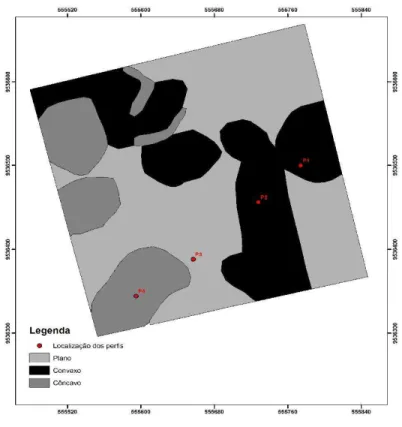 Figura 6 – Representação das formas da superfície na área estudada 