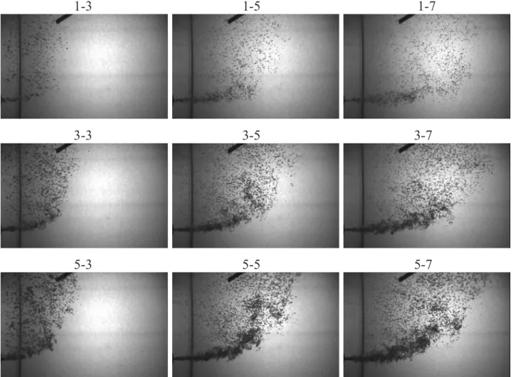 Fig. 2. Typical images 共32 ⫻ 50 cm 2 兲 of the bubbles for each experimental condition, showing the tip of the optical probe located at x= 16 cm and z = 24 cm