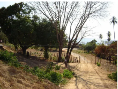 Foto 10 – O que restou da entrada do Tupinambá. No centro da imagem, a moradora Socorro  de  Sousa,  vestindo  blusa  branca,  marca  o  exato  local  do  antigo  mata-burros