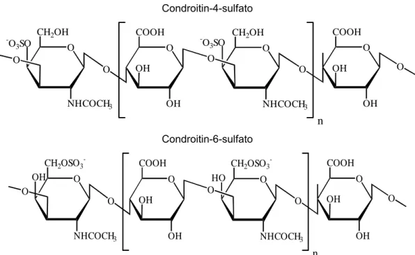 Ilustração 2: Estruturas dos condroitin-4-sulfato e condroitin-6-sulfato 
