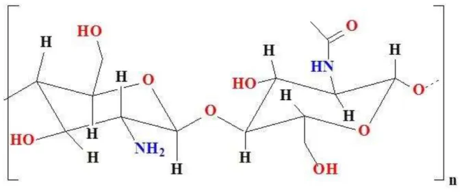 Figura 4 - Estrutura da quitosana. 