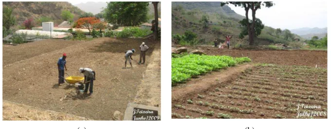 Figura  10  –   Agricultura  irrigada  a  montante  da  Barragem  de  Poilão  em  Cabo  Verde  mostrando (a) preparação de terreno nos terraços em S