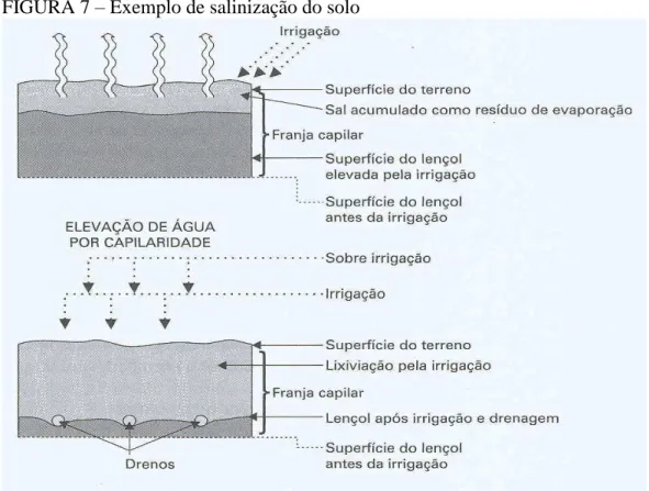 FIGURA 7  –  Exemplo de salinização do solo 