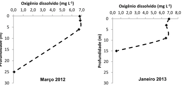 Figura 6 - Perfil vertical do oxigênio dissolvido no ponto 5 nos meses de Março  2012 e Janeiro 2013  0 5 10 15 20 25 30 0,0 1,0 2,0 3,0 4,0 5,0 6,0 7,0Profundidade (m)Oxigênio dissolvido (mg L-1) 051015202530 0,0 1,0 2,0 3,0 4,0 5,0 6,0 7,0 8,0Profundidad