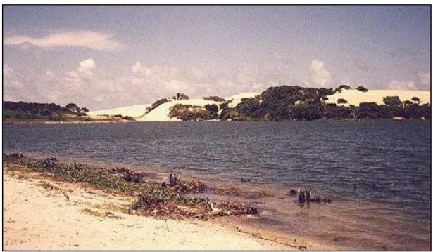 Foto 2  –  Vista parcial da  lagoa do Catu. Aquiraz/CE  