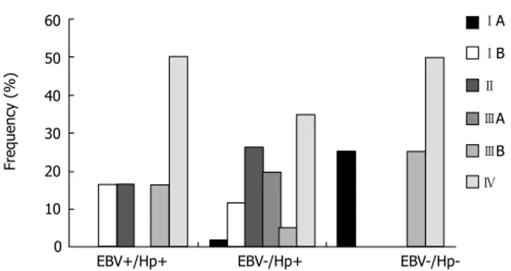 Figure 4   Frequencies of positive cases for the oncoproteins in the three deined  groups: Hp(+)/EBV(+); Hp(+)/EBV(-); and Hp(-)/EBV(-)