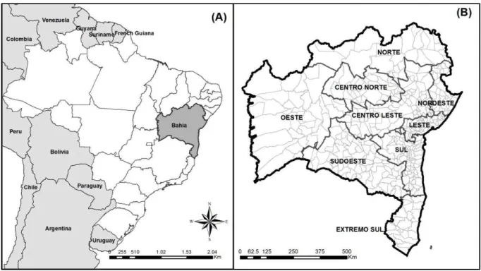 Figura 4  –  Áreas de estudo: Estado da Bahia e regiões de saúde, região Nordeste do Brasil 