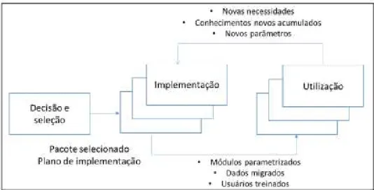 Figura 1  –  Ciclo de vida do sistema ERP 