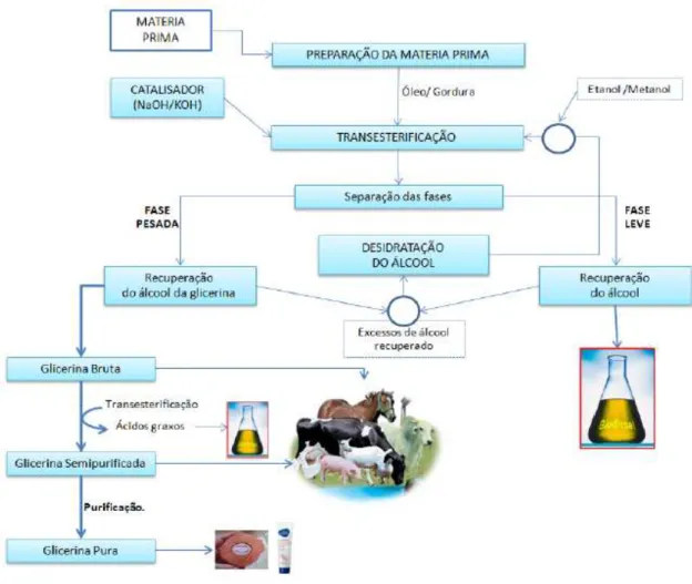 Figura 1. Etapas de produção do biodiesel e das glicerinas bruta, semipurificada e pura,  bem como seu uso na indústria (Fonte: adaptado de CARVALHO, 2011)
