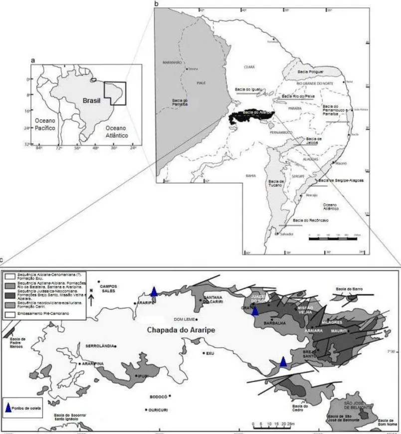 Figura 9 - Mapa de Localização da Bacia do Araripe, incluindo pontos de coleta das amostras para este trabalho (modificado  de Pires &amp; Guerra-Sommer, 2011)
