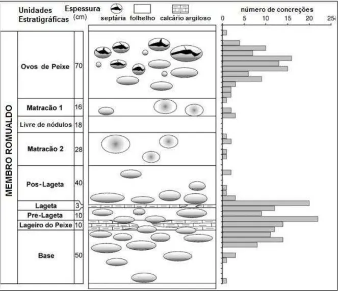 Figura  10  -  Histograma  estratigráfico  de  distribuição  de  concreções  no  Membro  Romualdo  em  escavação controlada (Adaptado de Fara et al., 2005)