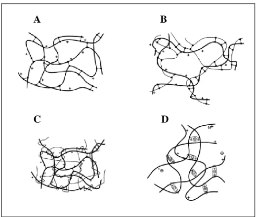 Figura 8. Modelos de estruturas de géis formados por reticulação: (A) reticulação entre as  próprias cadeias (B) HPN; (C) IPN; (D) reticulação iônica entre as cadeias do ploímero