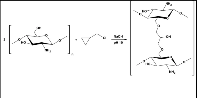 Figura 9. Reação de unidades de glucosaminas da quitosana com epicloridrina em meio  básico [Gonçalves, Laranjeira e Fávere 2005]