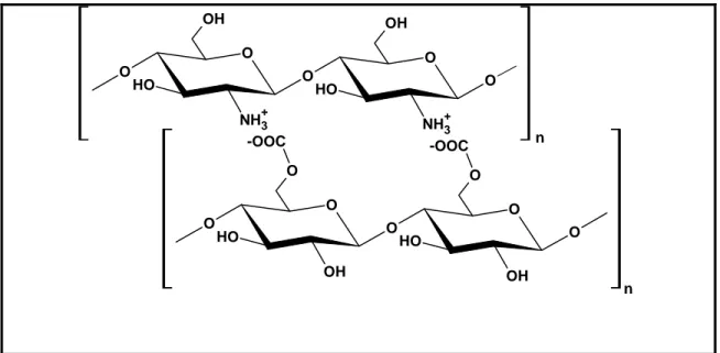 Figura 12. Esquema da interação entre as cadeias de quitosana (polieletrólito catiônico) e  um polieletrólito aniônico