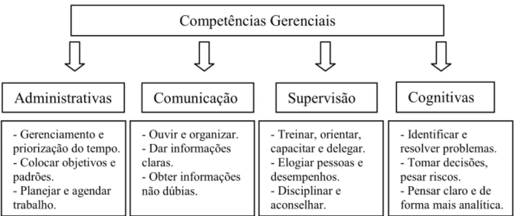 FIGURA 8 – Modelo de competências Gerenciais de Parry. % Q .SSJ # &lt; A L &gt; A I G &lt; # ) I N % &gt; ; I _ ! !N G _ N ! @ _ ? &gt; ; I _ &lt; G ! &lt; G T! _ &gt; ; _ @ _ @ &gt; ; &lt; ! _ ! G ''g .SSJ # $ Q .SSJ &#34; &lt; &lt; G &gt; # A   &lt; &lt;