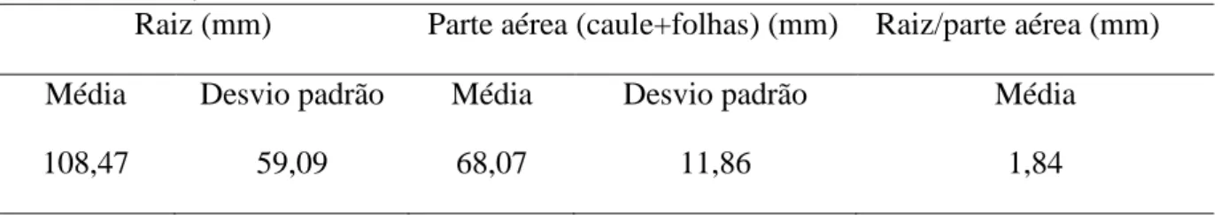 Tabela 4 – Comprimento da raiz, parte aérea e razão comprimento da raiz/comprimento da parte aérea  de  D