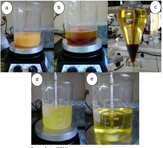 Figura  10-  Passo-a-passo  das  etapas  da  conversão  do  óleo  de  tilápia  em  biodiesel