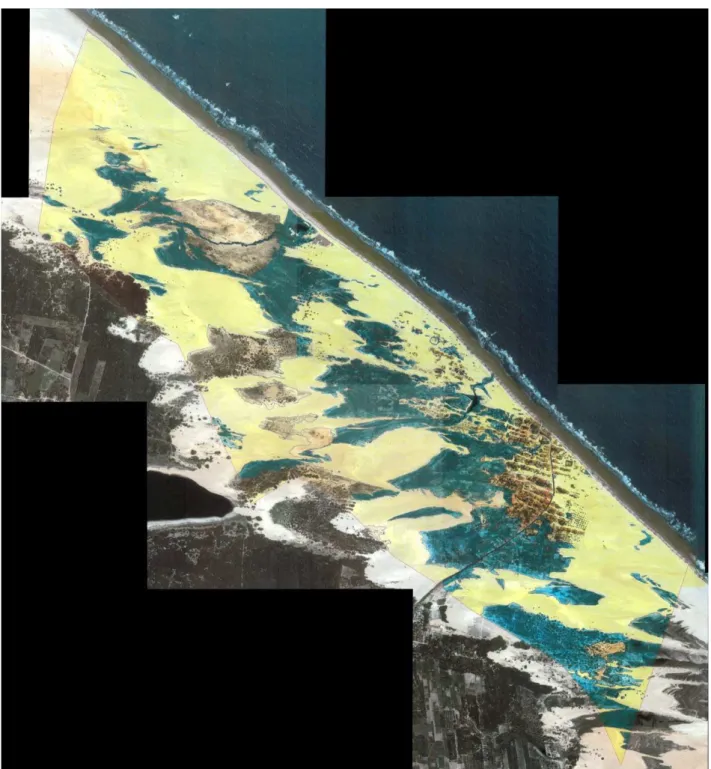 Figura 03 – Interpretação visual da imagem de satélite da RESEX da Prainha do Canto Verde-Ce