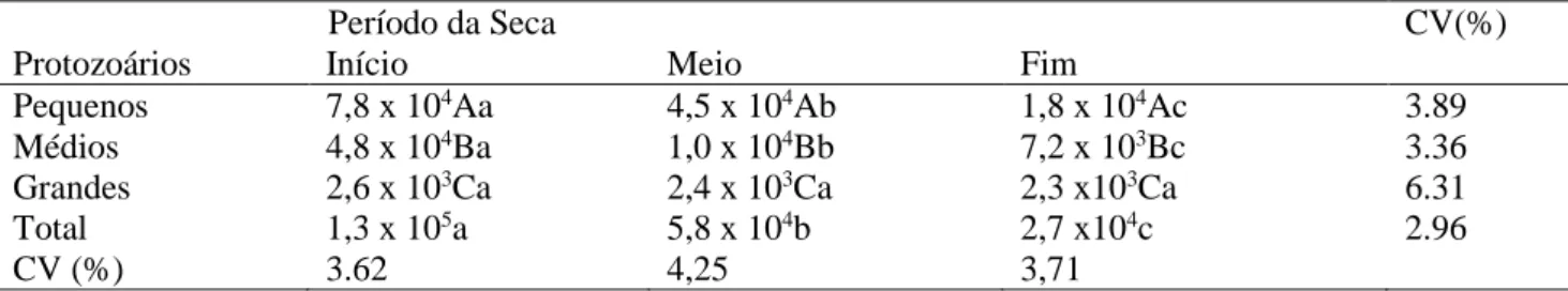 Tabela  2  -  Efeito  do  período  da  seca  sobre  a  contagem  média  de  protozoários  por  mL  de  suco  ruminal  e  coeficiente de variação (%) para novilhos criados no norte de Minas Gerais, Brasil  
