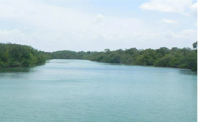 Figura 18  –  Baixo curso do rio Jaguaribe. (Fonte: PEDROSA, 2014) 