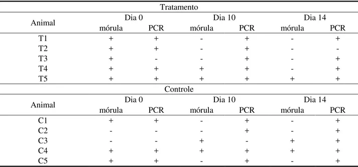 Tabela 3 - Resultados da pesquisa de mórula e da PCR pré e pós-tratamento  Tratamento 