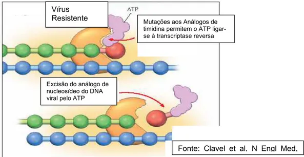 Figura 6. Mecanismo de Resitência p/ITRN (TAMs)- Remoção do análogo  da cadeia terminal do DNA
