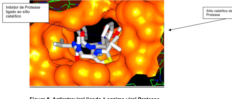Figura 8. Antiretroviral ligado à enzima viral Protease 