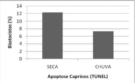 Figura 1: Porcentagem de blastocistos caprinos que apresentou resultado positivo para a apoptose
