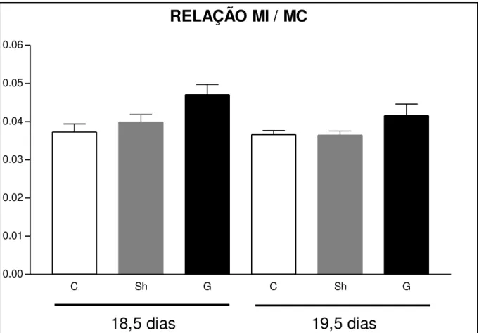 GRÁFICO 4  –   Gráfico comparando as medidas da relação MI/MC  dos fetos controle,  sham e gastrosquise em ratas operadas com 18,5 e 19,5 dias de gestação