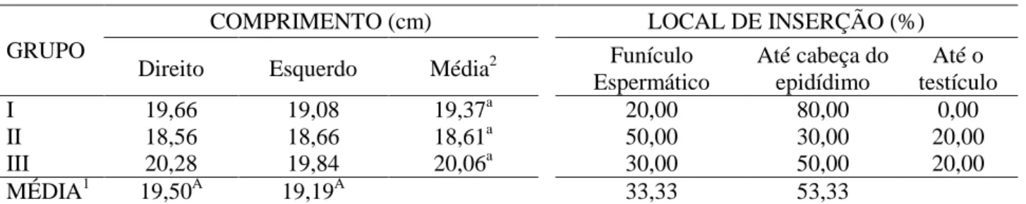 Tabela  2.  Comprimento  (cm)  e  local  de  inserção  do  músculo  cremáster  em  caprinos  com  diferentes  configurações  escrotais:  grupo  I,  escroto  único;  grupo  II,  bipartição  escrotal  até  50%  do  comprimento  testicular; e grupo III, bipar