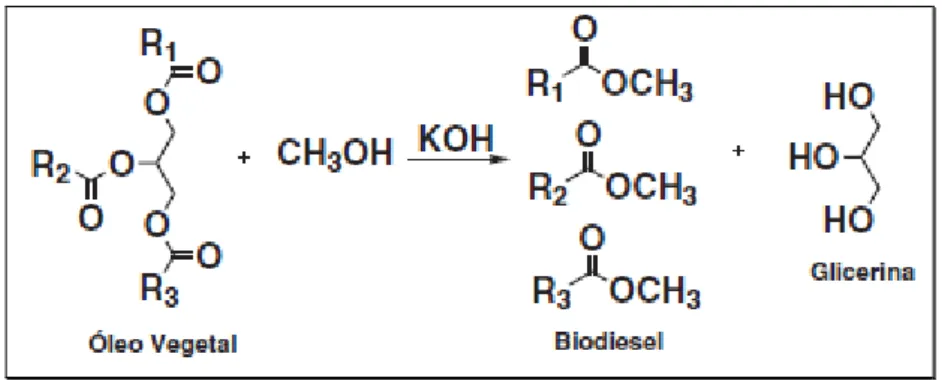 Figura 1.1. Produção de biodiesel a partir da transesterificação de óleos vegetais 