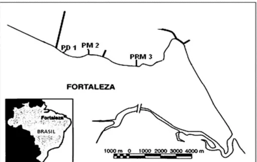 Figure 1 – Mapa da área de estudo, indicando os locais de coleta (PD1, PM2 e PRM3) em  Fortaleza-Ceará.