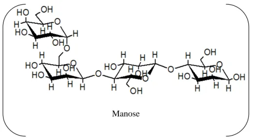 Figura  1  -  Representação  esquemática  de  uma  galactomanana  de  razão  manose/galactose  (Man/Gal) 3:1 