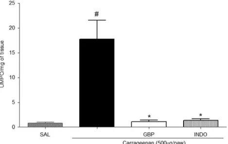 Fig. 2. Effect of gabapentin on carrageenan-induced myeloperoxidase activity in paw tissue