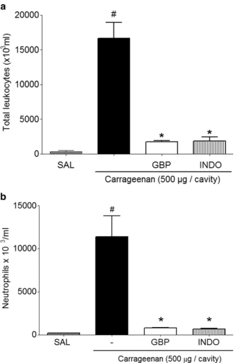 Fig. 4. Anti-inflammatory effect of gabapentin carrageenan-induced peritonitis in mice