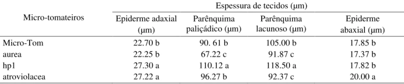 Tabela 2 – Espessura de tecidos do limbo foliar de micro-tomateiros em estádio de floração, cultivar Micro-Tom e seus respectivos mutantes em fitocromo.